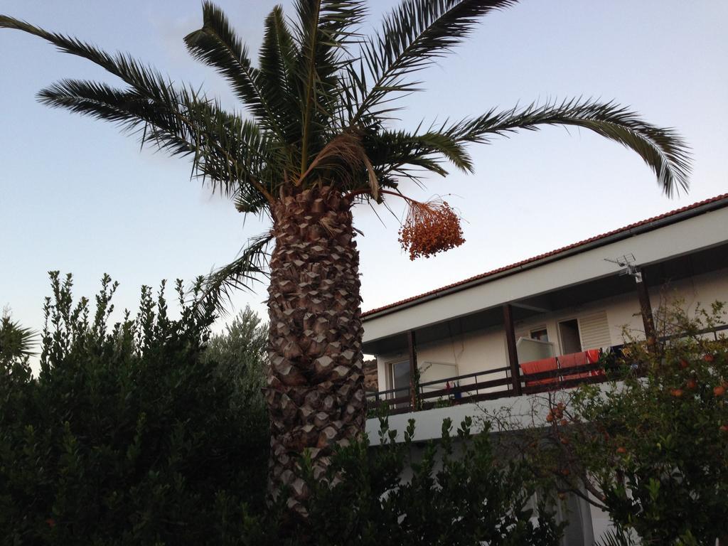 Sunningdale Hotel أغيا غاليني المظهر الخارجي الصورة